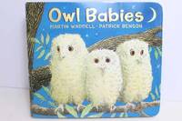 Owl Babies