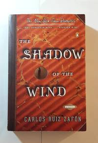 image of the shadow of the wind
