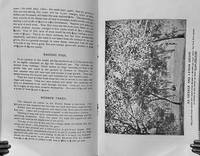 Cuba The Pearl Of The Antilles And Garden Spot Of The World; A Brief Description Of Its Agricultural Resources