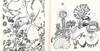Psychedelic Review. Vol. 1, No. 1...; (photo 5)