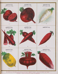 Seed Bags and Supplies.