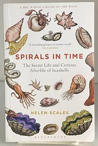 Spirals in Time: The Secret Life and Curious Afterlife of Seashells by Scales, Helen - 2016