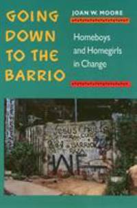 Going down to the Barrio : Homeboys and Homegirls in Change