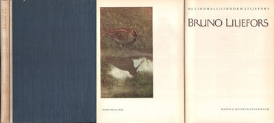BRUNO LILJEFORS.