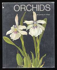 image of Orchids