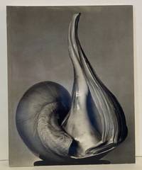 EW 100: Centennial Essays in Honor of Edward Weston