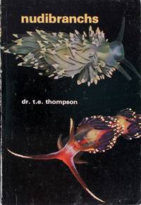 image of Nudibranchs
