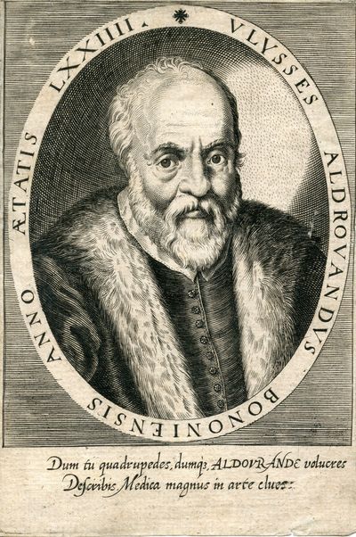 Engraved Portrait