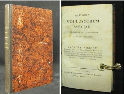 Historia molluscorum Sveciae terrestrium et…