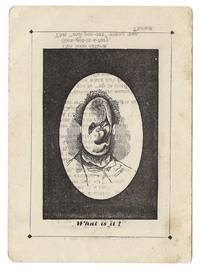 What is it?" - Optical illusion puzzle