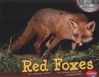 Red Foxes