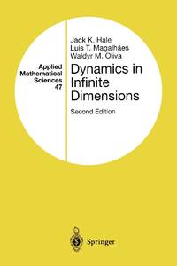 Dynamics in Infinite Dimensions
