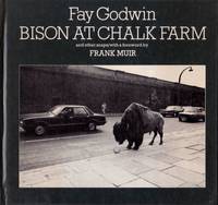 Bison at Chalk Farm and Other Snaps by Godwin, Fay