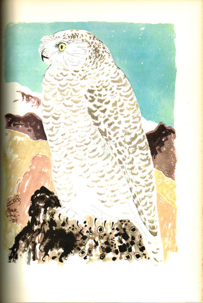 Grønlands Fugle. The Birds of Greenland. Med forord af Hans Hedtoft. Minister for Grønland. With a preface by Hans Hedtoft. Danish Prime Minister. (photo 3)