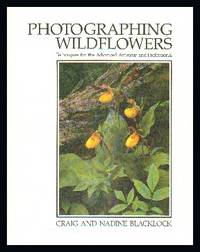 Photographing Wildflowers: Techniques for The Advanced Amateur and Professional