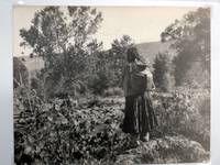 image of Untitled Photograph