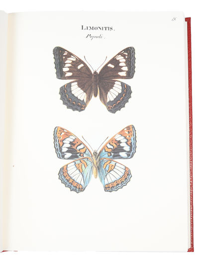 Swenska Fjärilar. Ordo Lepidoptera. (1. Diurni. 2. Nocturni). Efter Naturen Målade. 2 Bd. + Swenska Fjärilar målade för greve Nils Bonde 1828-1835. Kommentar av Björn Dal. (ialt 3 Bd.) (photo 6)