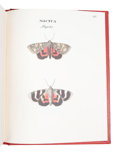 Swenska Fjärilar. Ordo Lepidoptera. (1. Diurni. 2. Nocturni). Efter Naturen Målade. 2 Bd. + Swenska Fjärilar målade för greve Nils Bonde 1828-1835. Kommentar av Björn Dal. (ialt 3 Bd.) (photo 7)