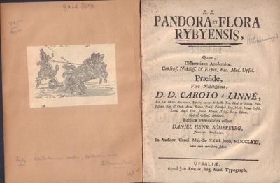 Pandora et flora Rybyensis. Diss., resp. D.H.…