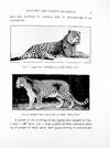 Studies in the Evolution of Animals