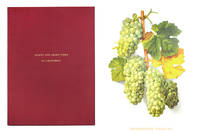 Grapes And Grape Vines Of California