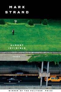 Almost Invisible (SIGNED COPY)