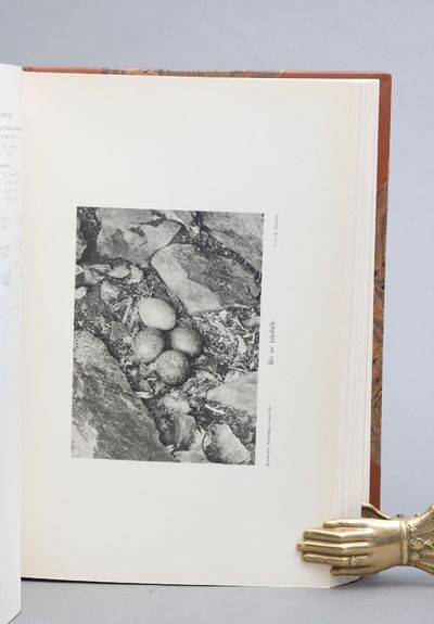 Sveriges fåglar och fågelbon. Bind I-VI. Med fägelbilder utförda i färgljustryck efter originalmålningar av fil d:r Gustaf Swenander. Komplett. (photo 3)