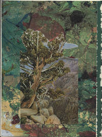image of Old Cypress or Juniper Tree in Nevada Mountains, California detail on a one-of-a-kind hand marbled paper composition presented on a blank note card.