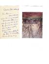 The Senator who Was Introduced the Women's Suffrage 19th Amendment, Original Autograph Letter Signed 1879