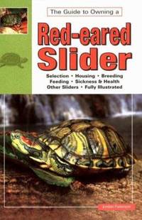 Red Eared Slider Turtles