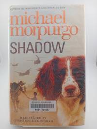 Shadow
