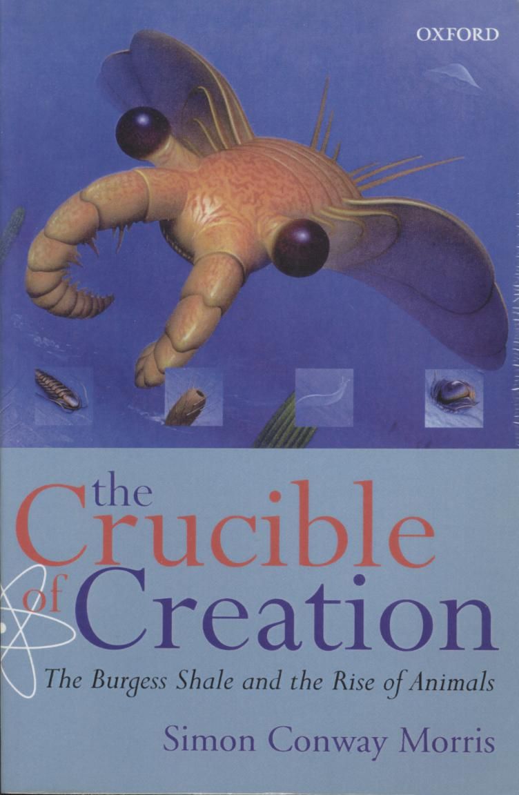 Crucible Of Creation The Burgess Shale And The Rise Of