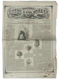 Moore's Rural New-Yorker, Saturday, March 27, 1869, Vol. XX, No. 13, Whole No. 1001
