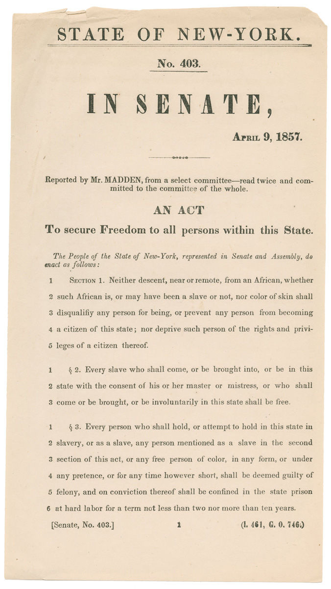 Rare New York Senate Print of Proposed State Law t