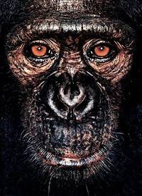 James Mollison: James & Other Apes