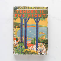 cover of Tender is the Night