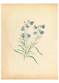 cover of Reproducción/Reproduction 31974521168: Wild flowers drawn and colored from nature.. New York,1859..