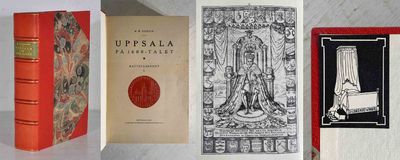 Uppsala på 1600-talet. Bidrag till stadens…