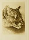 [OUTDOOR SPORT] [ILLUSTRATED] LIVES OF GAME ANIMALS. AN ACCOUNT OF THOSE LAND ANIMALS IN AMERICA, NORTH OF THE MEXICAN BORDER, WHICH ARE CONSIDERED “GAME,” EITHER BECAUSE THEY HAVE HELD THE ATTENTION OF SPORTSMEN, OR RECEIVED THE PROTECTION OF LAW. IN FOUR VOLUMES WITH 50 MAPS AND 1500 ILLUSTRATIONS BY THE AUTHOR (4 VOLUMES)