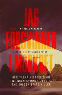 Jag försvinner i mörkret.