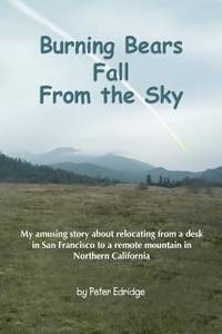 Burning Bears Fall from the Sky : My amusing story about relocating from a desk in San Francisco...