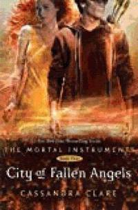 The Mortal Instruments 4: City of Fallen Angels