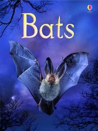 Bats (Beginners Series)