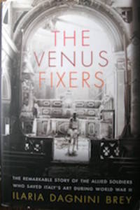 cover of Tje Venus Fixers.