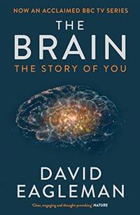 Brain Eagleman, D
