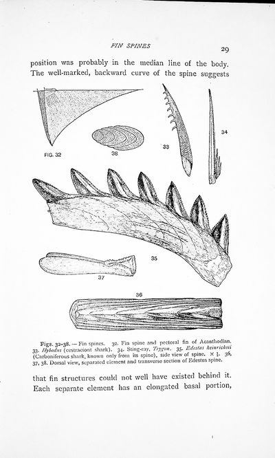 Fishes, Living and Fossil: An Outline of Their Forms and Probable Relationships