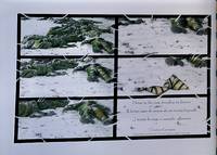 I Listen to The Snow Shrouding Me Forever