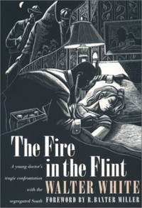 The Fire in the Flint (Brown Thrasher Books)