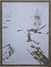 Robert Bringhurst: Jacob Singing