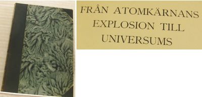 Från atomkärnans explosion till universums. Tio…